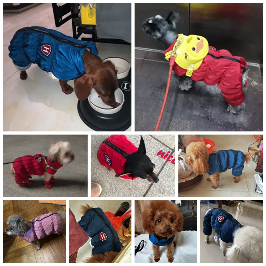 防水ジッパー式スノーユニセックスパンツ,青,紫,ペットジャケ - Winter Clothing For Babies のレビューと価格